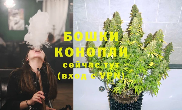 ГАЛЛЮЦИНОГЕННЫЕ ГРИБЫ Сясьстрой