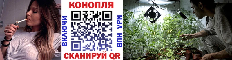 мориарти какой сайт  Липки  Бошки марихуана семена 